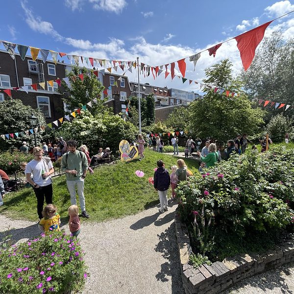 53754967741_6a44b126d0_c